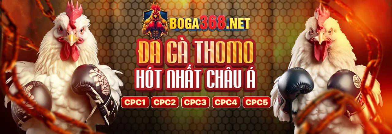 Sân vận động với trận đấu bóng đá đang diễn ra, biểu tượng cho cá cược thể thao trực tuyến tại Lode